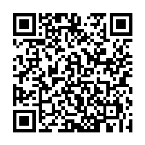 雨果可以从布拉德那双蓝色的眸子里看到昂扬的斗志二维码生成