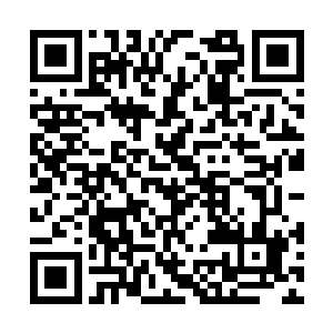 雨果和查理兹的大部分时间都必须拿出来进行彩排二维码生成