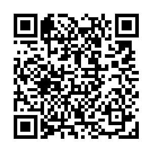 雨果和梅格两位主演都没有安排任何海外宣传行程二维码生成