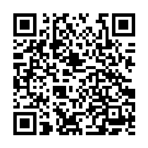 雨果和汤米将是今年最佳男配角的最强有力竞争者二维码生成