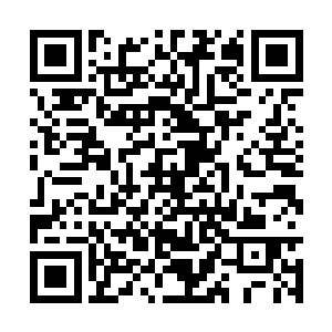 雨果回首看着自己这十一年来的一路蹒跚一路挣扎二维码生成