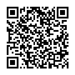 雨果就在长达近七个月的时间里都没有接拍任何作品二维码生成