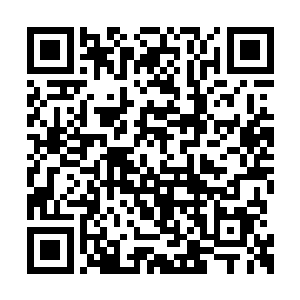 雨果就经常回忆记忆里的原本演员是如何表演的二维码生成