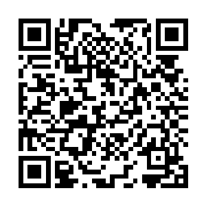 雨果就这样莫名其妙地出现在了最佳编剧提名名单之中二维码生成