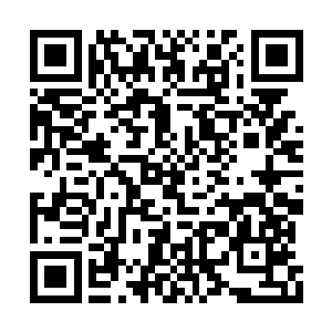 雨果应该与乌玛在马里布度过了十分美好的时光二维码生成