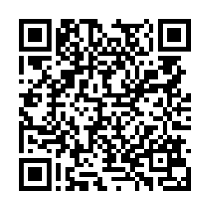 雨果心有余悸地回头看了看门口那群疯狂的狗仔队二维码生成