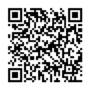 雨果手里的剧本就好像是一个打满补丁的华丽桌布二维码生成