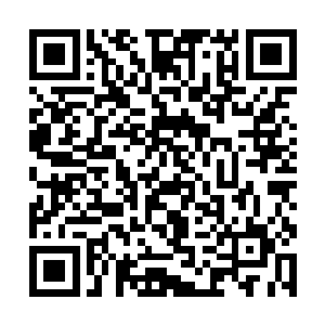 雨果构思角色的方法和过程与莱昂纳多没有太大区别二维码生成