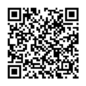 雨果现在俨然已经成为了三十五岁以下演员的典范二维码生成