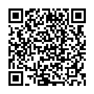 雨果的一句话顿时就招惹到了查理兹的一只拖鞋二维码生成