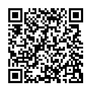 雨果的另外一个提名却不是像过去两年一样的最佳男配角提名二维码生成