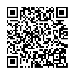 雨果的嗓音就彷佛是黑暗之中灯塔的那一抹光芒二维码生成