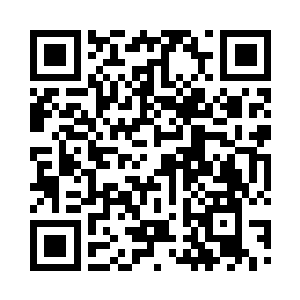 雨果的大脑呈现出一片欣欣向荣的景象二维码生成