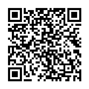 雨果的肉眼就可以看到查理兹整个人濒临着分崩离析二维码生成