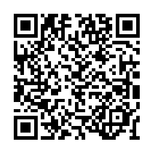 雨果短时间内对于接拍新作的确是没有任何兴趣二维码生成