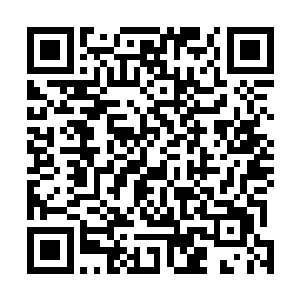 雨果自然不会把恩斯特这份重视随意地用什么谢礼来结算二维码生成