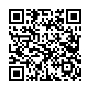 雨果说不定还更加适合成为一名经纪人二维码生成