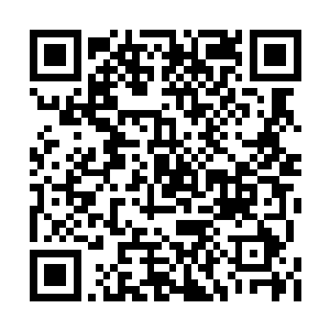 雨果跟随着大部分工作人员回到了华尔道夫饭店二维码生成