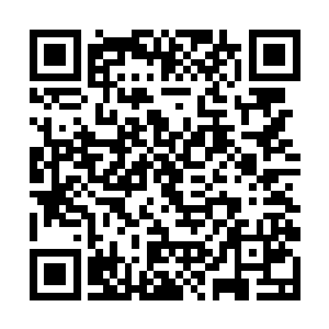 雨果过去三年时间的年终票房成绩分别是四亿六千万二维码生成