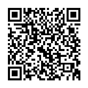 雨果过去两年时间认识的朋友大部分都来到了现场为雨果祝贺二维码生成