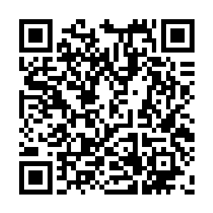 雨果这还是等于间接否认了刚才尼古拉斯的提问二维码生成