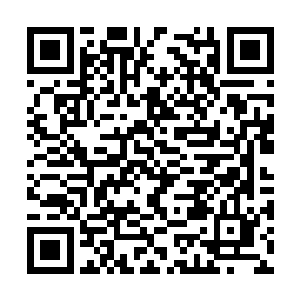 雨果随性不羁的演唱方式充满一往无前的年轻霸气二维码生成