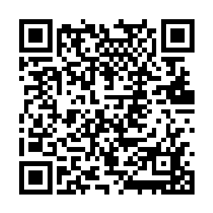 雪倾城这段时间也开始帮我处理起门派的一些杂事二维码生成