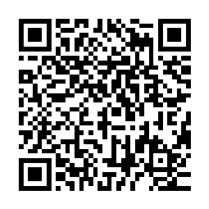 雪儿一口气说完之后看着苍那一动不动的样子却是感觉到了后怕二维码生成