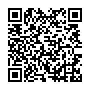 雪儿此刻双手轻轻的捧着南宫璟宸的脑袋看向自己二维码生成