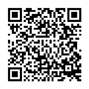 雪原的王先让人给各城的大奴隶主送去了他安排好的斗兽顺序二维码生成