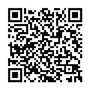 雪天的时候每家最起码得有五六十只野鸡可以吃二维码生成