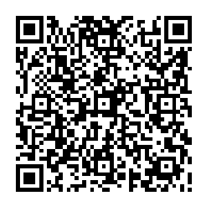 雪女小朋友十分好奇的看着我贴在她已经开始变得又脏又破的劳蕾丝裙子上的东西二维码生成