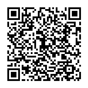 雪如楼他们一个个的缴纳一百万零三千仙晶拿到了身份令牌鱼贯进入了比斗场二维码生成