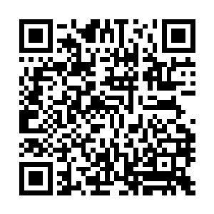 雪如楼只拉着又不靠谱的易红仙人给流墨墨和琴瑟色打掩护二维码生成