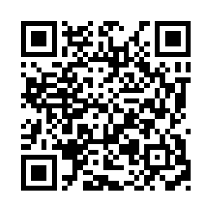 雪如楼只是皱了皱眉就看向流墨墨不吭声了二维码生成