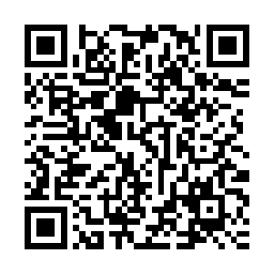 雪如楼和琴瑟色的对那两只龙的体内果然还是有污秽力量的沉重二维码生成