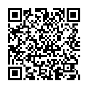 雪如楼想到了安罗那看上去似乎是只青蛙的外表二维码生成