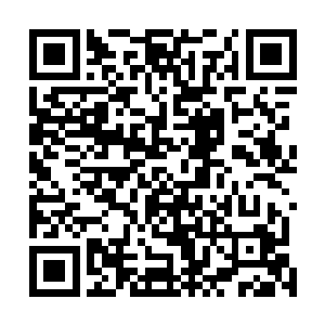 雪如楼抱着流墨墨直接去了陌路离殇安排给他们的小院里二维码生成