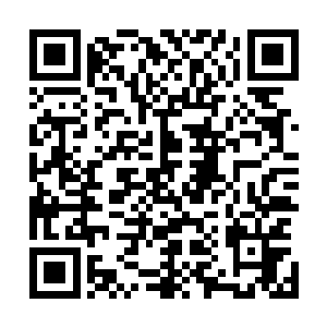 雪如楼拧眉把背箩放下掀开上面的几层树叶编成的密实盖子二维码生成