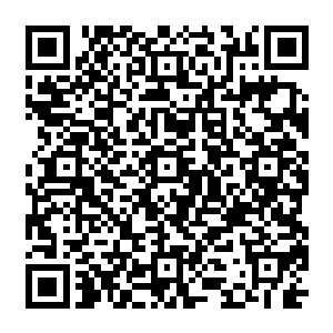 雪如楼挥手从腰带一抹一道暗蓝光芒闪过一张优雅弧形的浅灰色波浪形底矮长椅出现在地上二维码生成