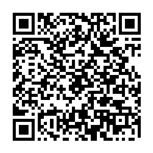 雪如楼见状也明白流墨墨这是因为知晓了那好消息而心情不爽懒得说话了二维码生成