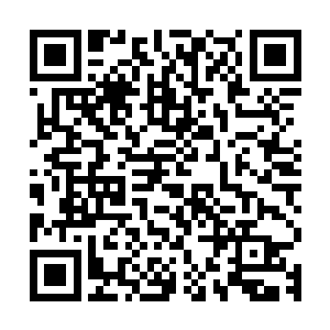 雪如楼觉得自己似乎忽视的不止是这里没有任何兽类活动的痕迹二维码生成