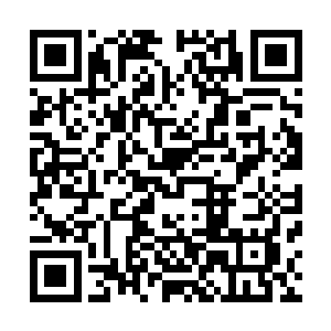 雪如楼觉得还是先离水须水母远点再考虑那不对劲的是什么二维码生成