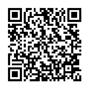 雪如楼轻咳一声开口准备让宠物都继续干活儿去二维码生成