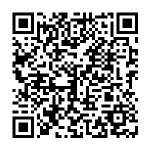 雪如楼轻轻迂了口气慢慢伸直有点僵硬的腿看向不知何时已经睡着的流墨墨二维码生成