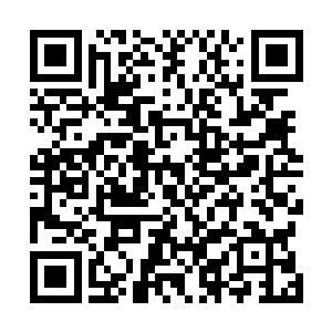 雪松淡然却不容忽视的气味迅速侵略了阮荷黎全部的嗅觉二维码生成