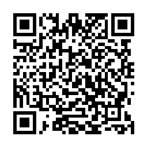 雪灵不仅是想要过那样一种众星捧月的生活才到这里来的二维码生成