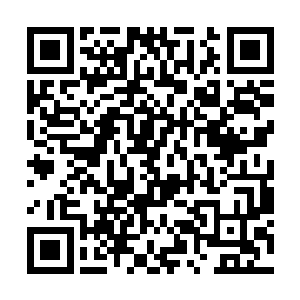 雪狼并没有因为痛苦而失去理智做出任何攻击的行为二维码生成