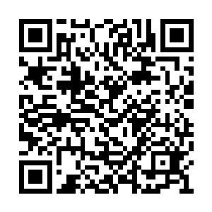 雪羽箭也仿佛是突然之间消失在了空气之中一样二维码生成