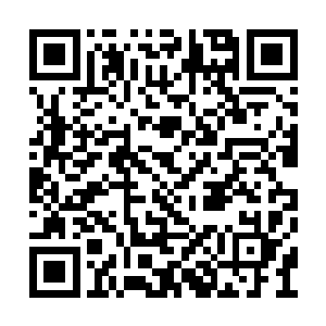 雪莉似乎也在被敲了一下后对叶秋看得更加顺眼二维码生成